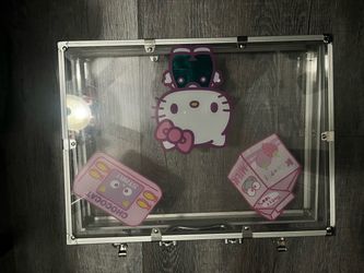 Hello kitty case