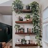 Home Improvement Needs