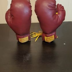 Vintage Boxing Gloves
