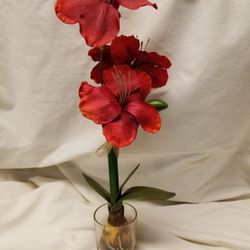 Artificial Amaryllis In Glass Vase