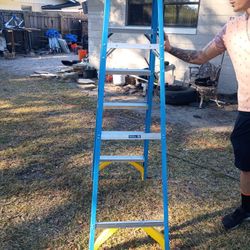 6ft Fiberglass Ladder