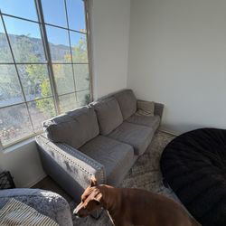 Grey Couch 