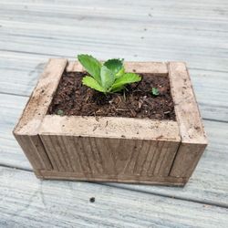 Small Planter Pot