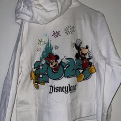 Disneyland 2025 Character Hoodie 