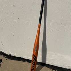 Mizuno Bat