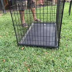 Dog Cage