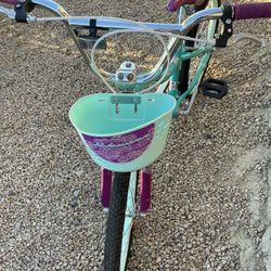 20’ Schwinn Bike 