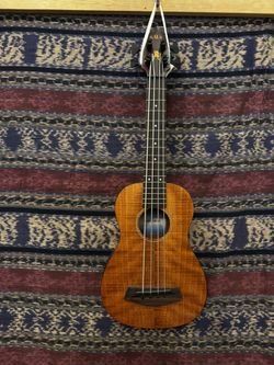Kala U-Bass Acoustic-Electric Bass – Shadow Electronics – 