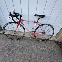 Bicicleta De Carreras  Lemons