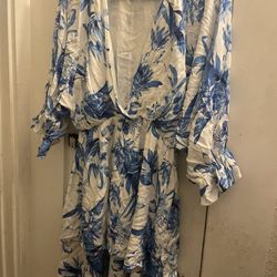 Blue And White Dress