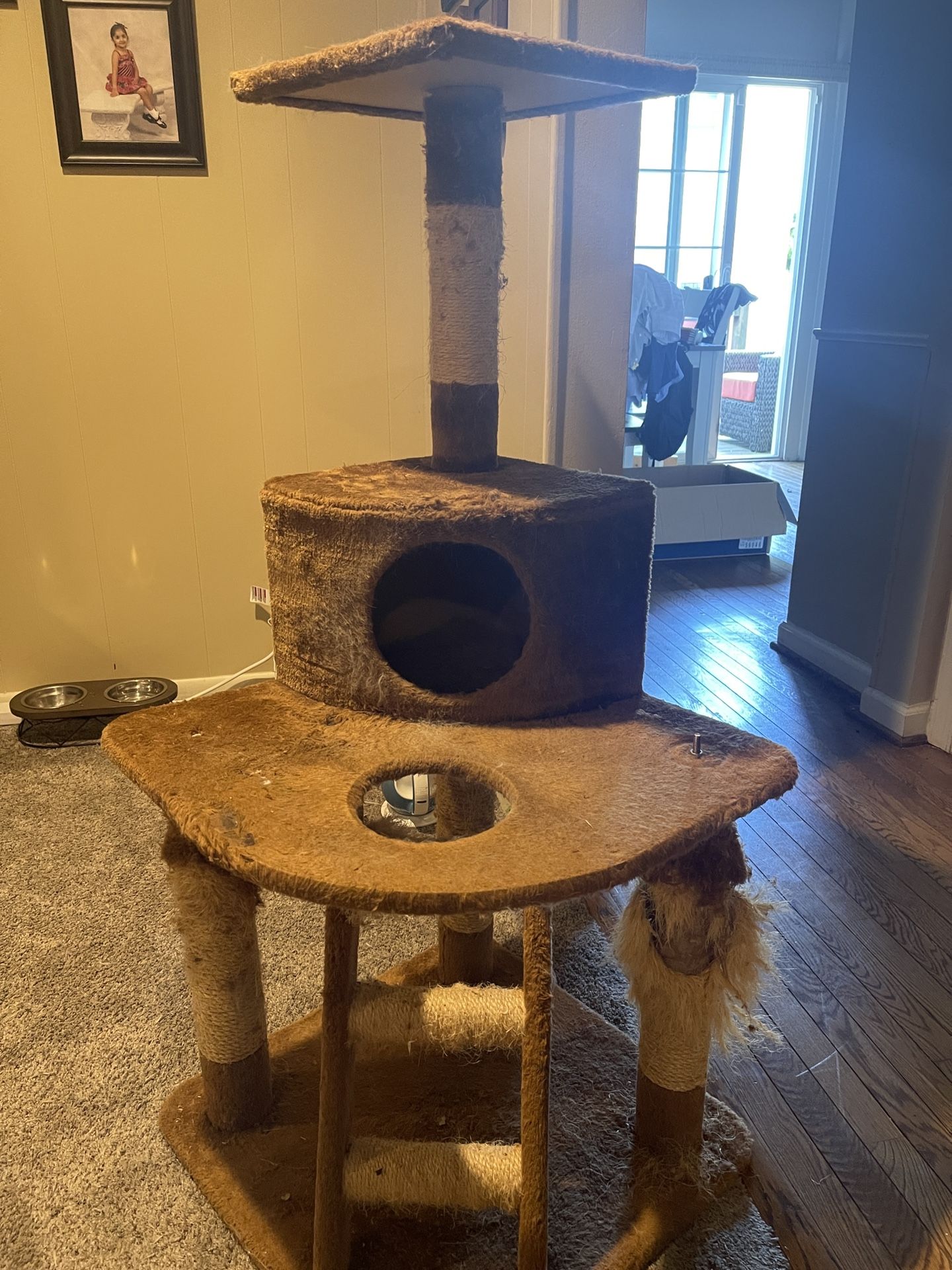 Cat Tree