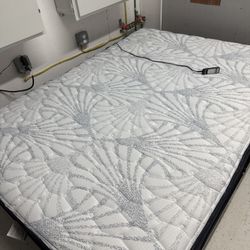 Full Size Adjustable Sealy Bed Mattress Included