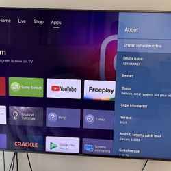 Sony 65” XBR-65X900F