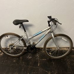 MT. FURY ROADMASTER ADULT BICYCLE