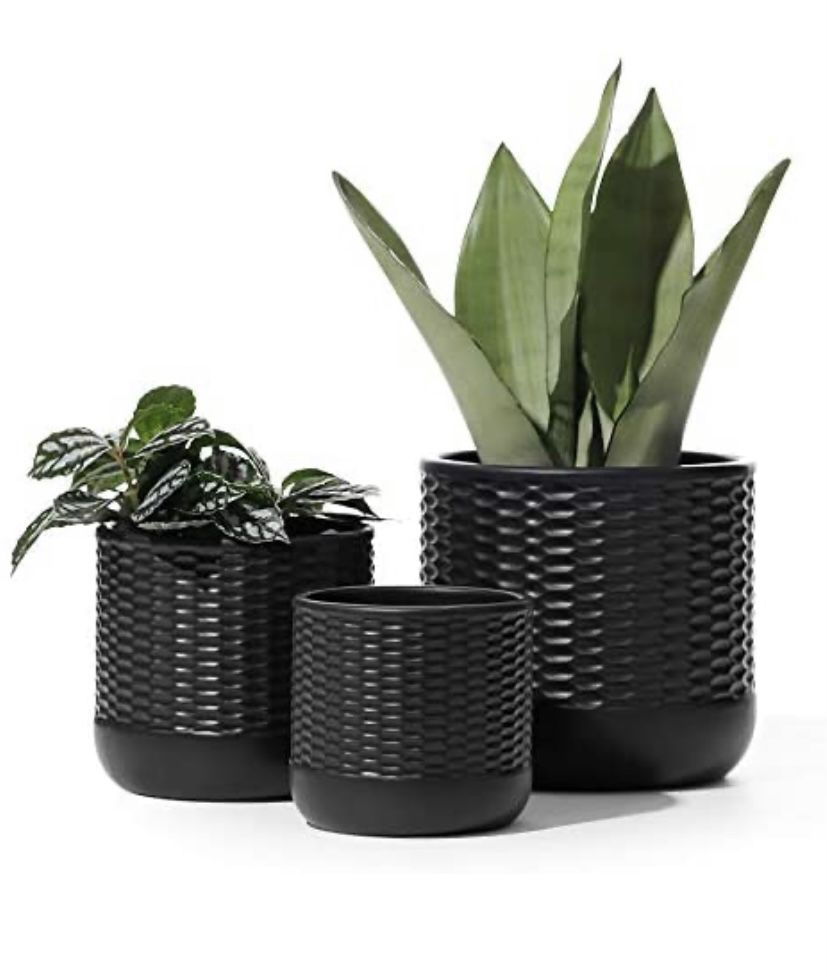 Outdoor/Indoor Ceramic Succulent Pot with Drainage