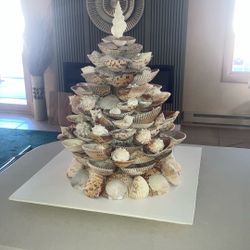 Shell Tree
