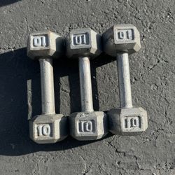 10 lb dumbbells 