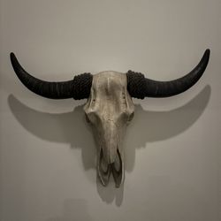 Faux Longhorn Wall Decor - 29x22" - $50
