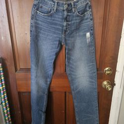 American Eagle Comfort Stretch Waistband Low Rise Baggy Jean Size 0