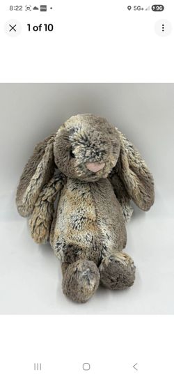 Jelly cat bunny