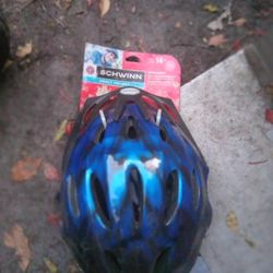 Schwinn Interceptor Helmet