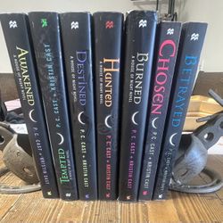 Horse Shoe Book Ends With Spinning Spurs  
