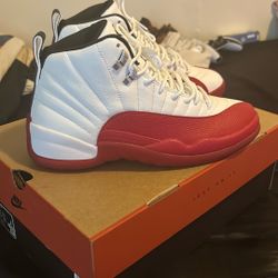 Air Jordan cherry 12’s