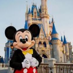 Disneyworld 