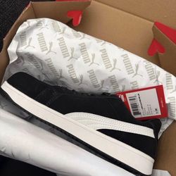 Steel Toe Shoes (Pumas)