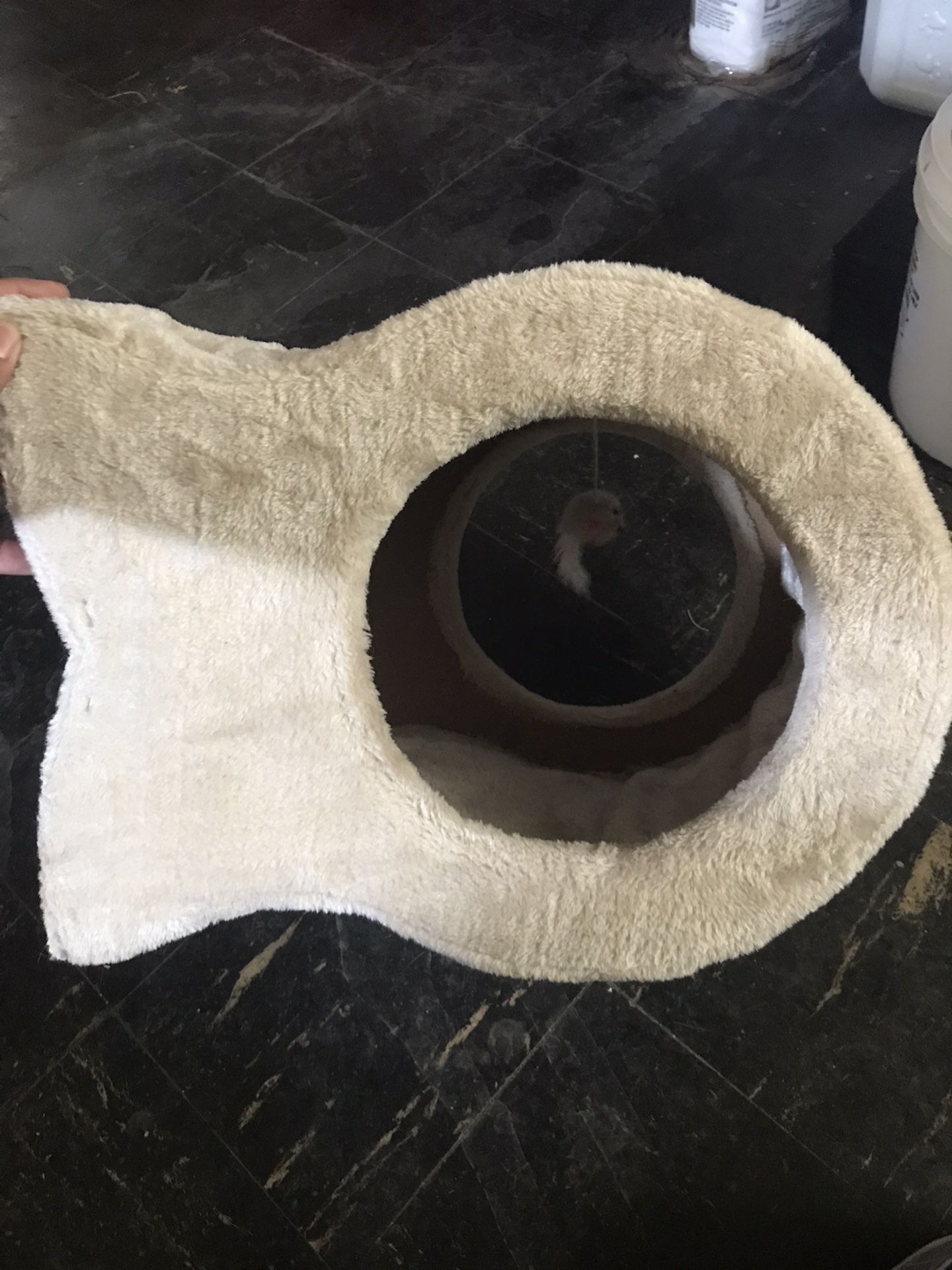 Fish Shape Cat Scratcher