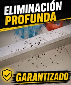 Hugomatafumitodo Garantizado