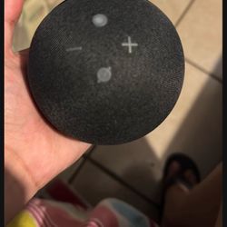 Amazon Echo dot 5th Generation 