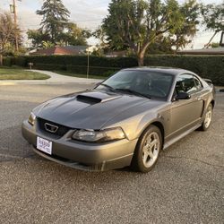 2004 Mustang Gt