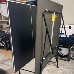 Ping Pong Table