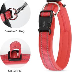 XL Dog Collar (Brand New)