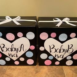 Large Twin Gender Reveal Balloon Boxes