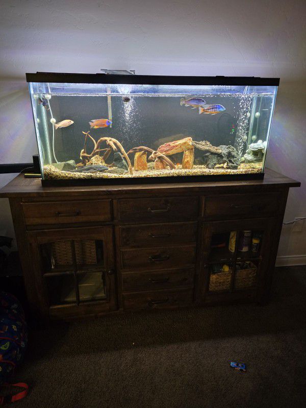 55 Gal Fish Tank With Stand All Included 