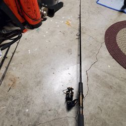 Penn Fishing Reel Plus Browning Silafles Pole