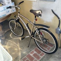 Land Rider Beach Cruiser