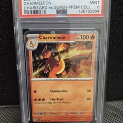 POKÉMON CHARMELEON / #005