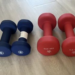 Dumbbell Lot