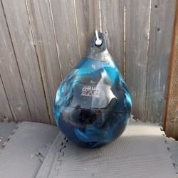 Punching Bag/Aqua Bag