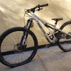 2021 Specialized Stumpjumper EVO S1