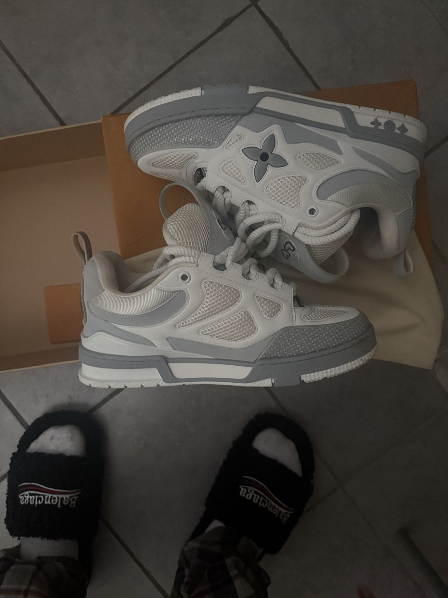 Louis Vuitton Skates