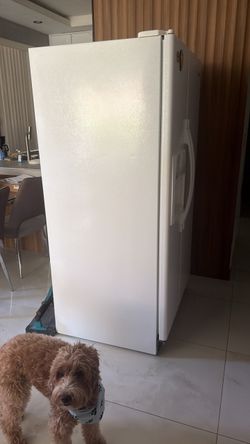White Upright Freezer