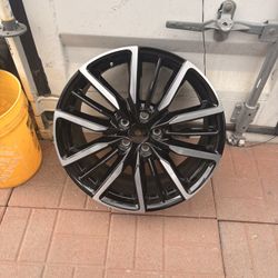 Honda accord Touring Rims