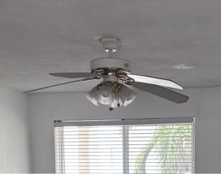 Ceiling Fun