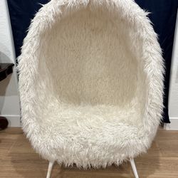Pottery Barn Teen Furlicious Faux Fur Cave Egg Chair for Sale in