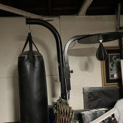 Punching Bag Speed Ball Combo