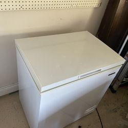 Thomson 10.4 Cu. Ft. Garage-Ready Chest Freezer 